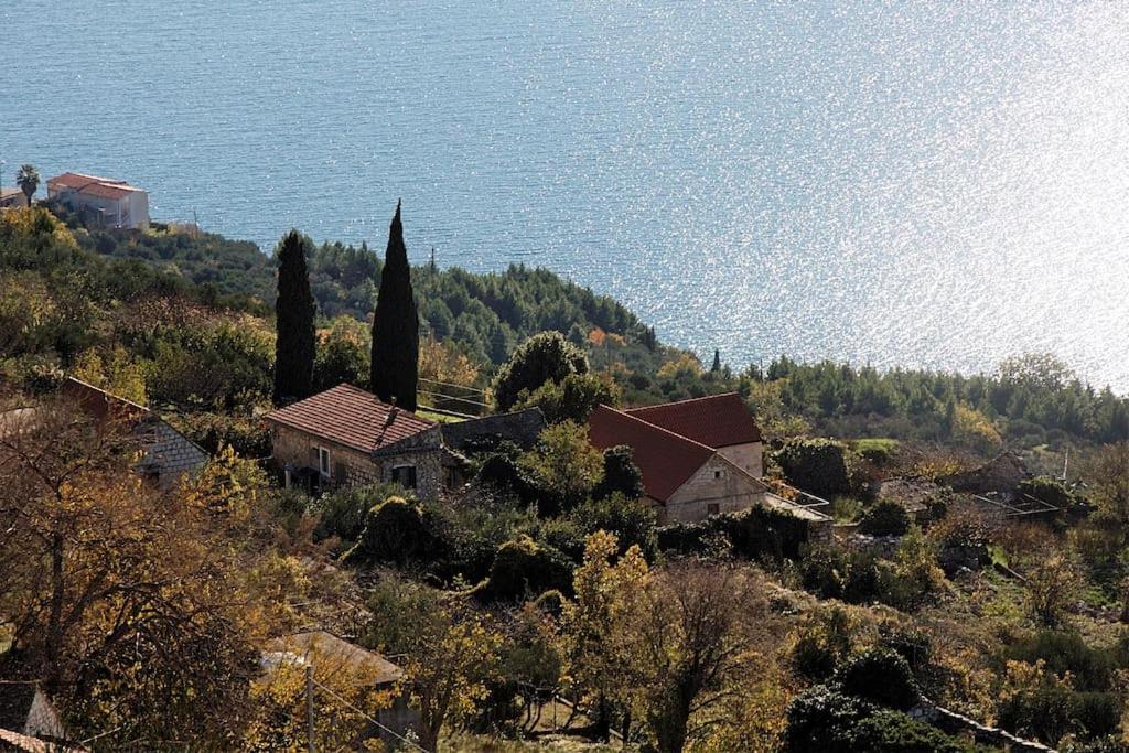 Art House Old Village Jesenice  Εξωτερικό φωτογραφία